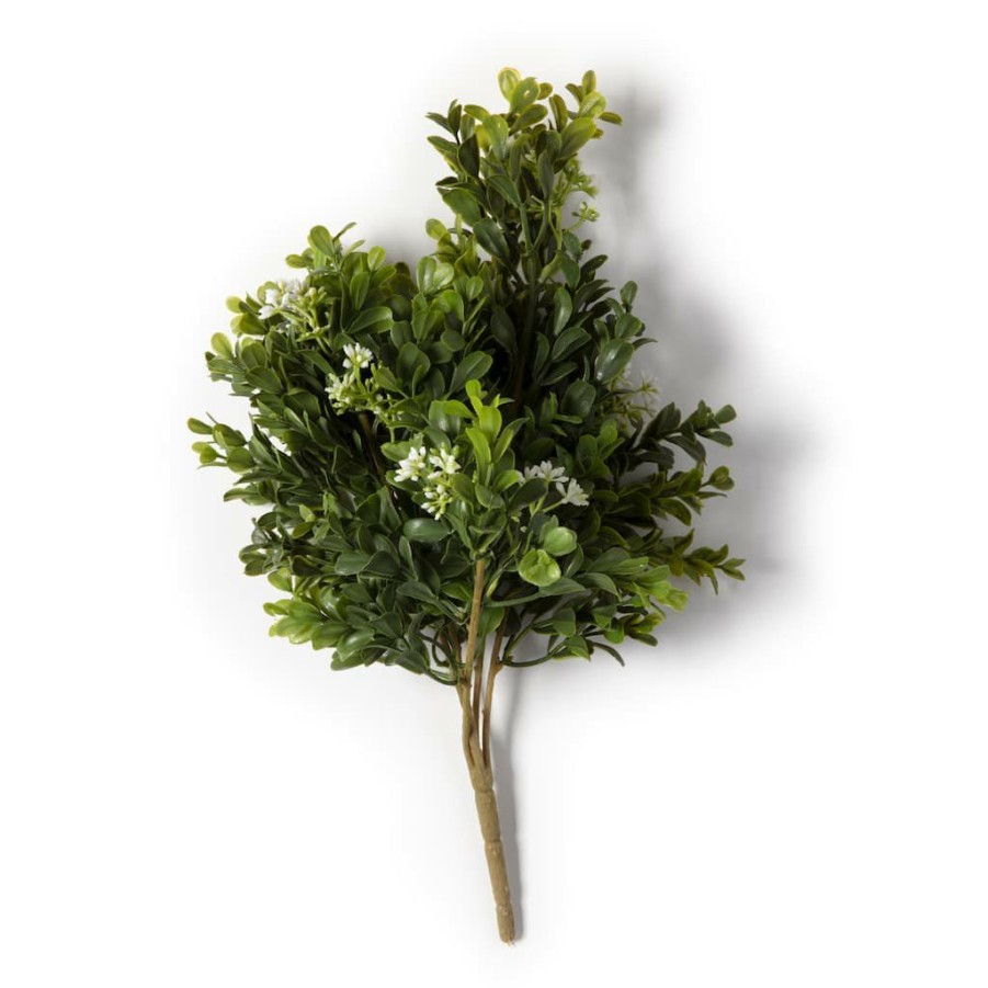 Floral * | Coupon Boxwood & Berry Bush By Ashland