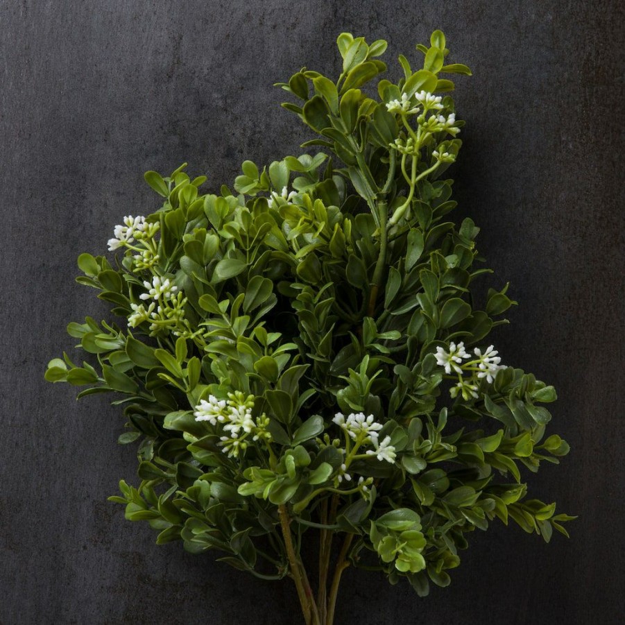 Floral * | Coupon Boxwood & Berry Bush By Ashland