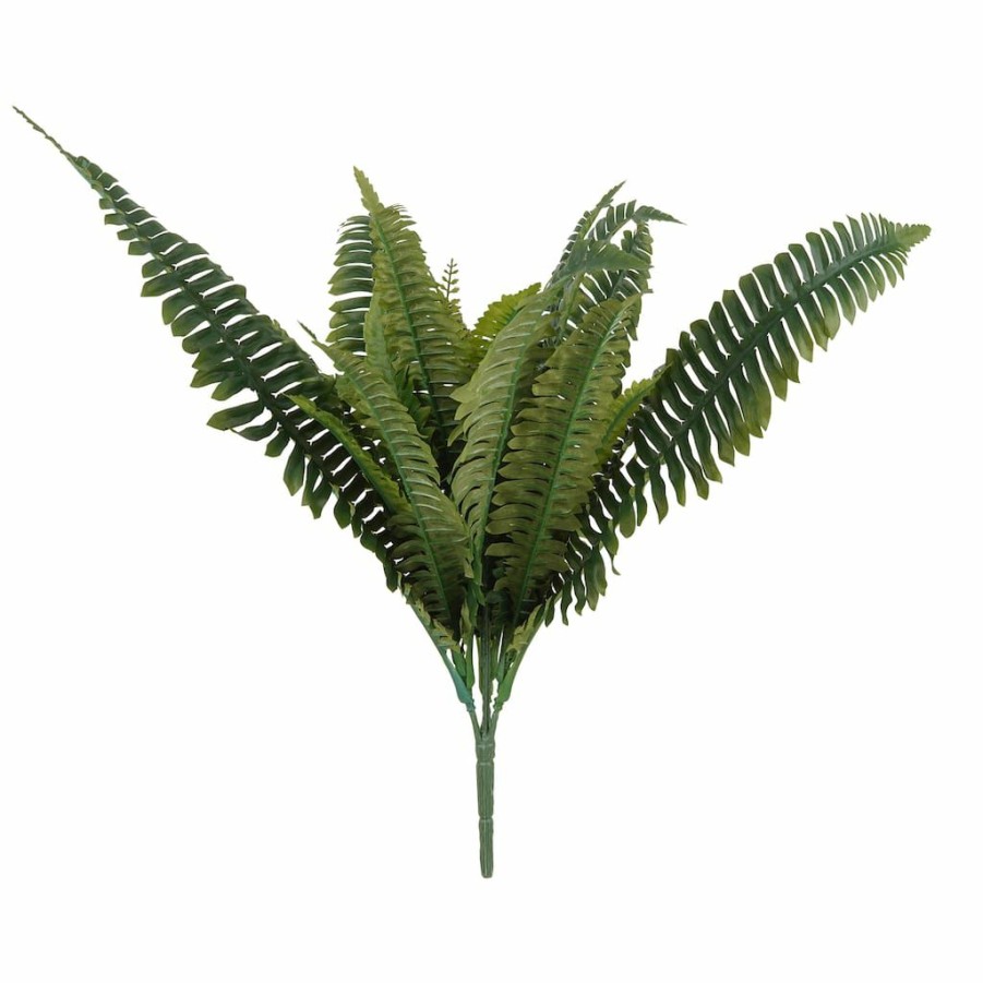 Floral * | Wholesale Boston Fern Bush Fern Collection By Ashland Green