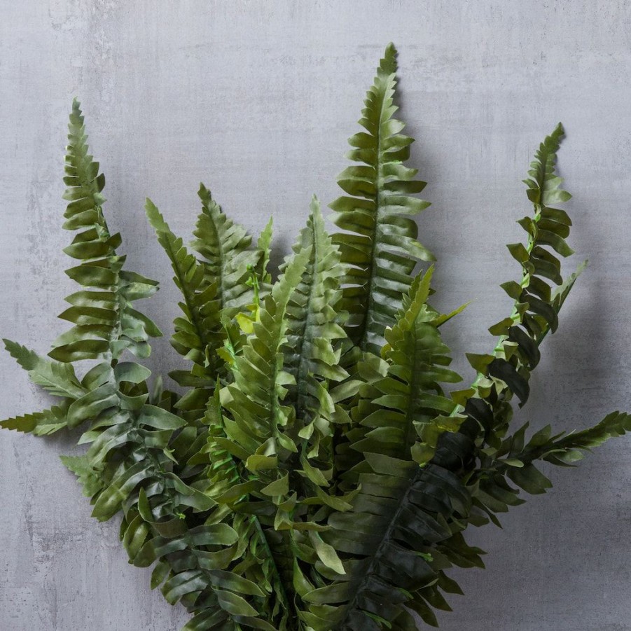 Floral * | Wholesale Boston Fern Bush Fern Collection By Ashland Green