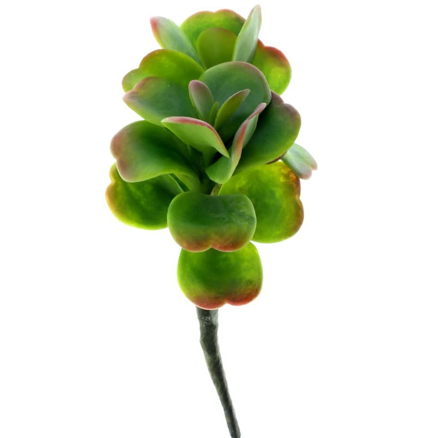 Floral * | Buy Green & Orange Succulent Pick By Ashland