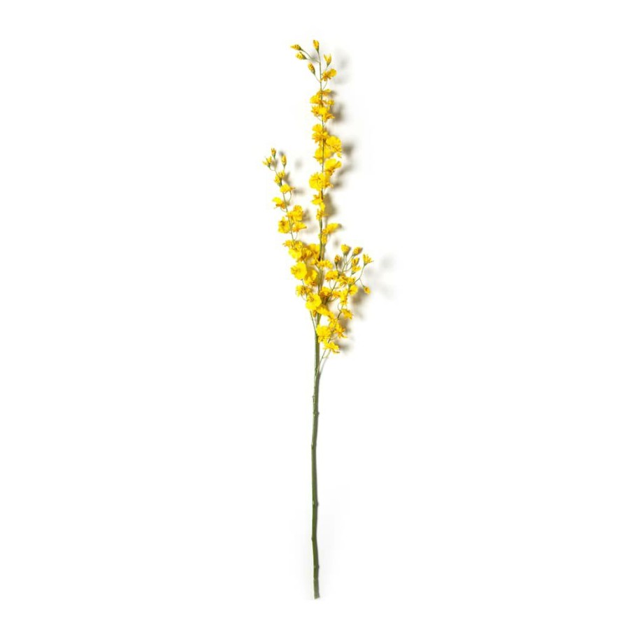 Floral * | Wholesale Dancing Orchid By Ashland Yellow