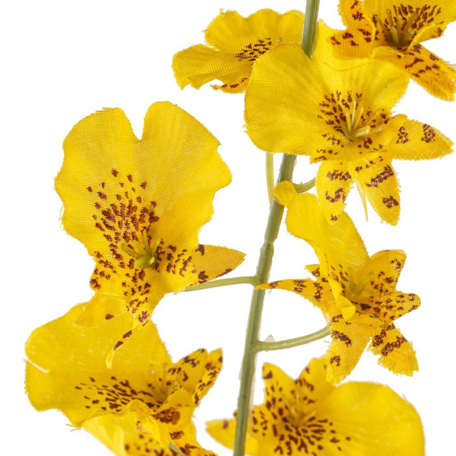 Floral * | Wholesale Dancing Orchid By Ashland Yellow