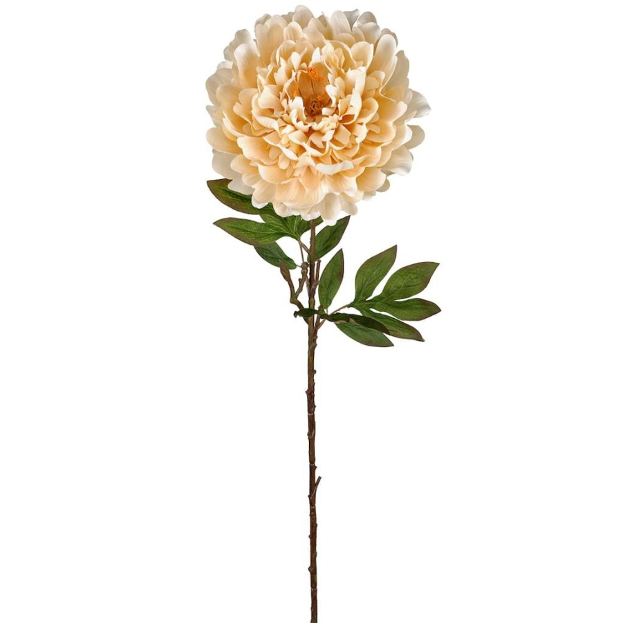 Floral * | Best Pirce Jumbo Cream Peony Stem By Ashland