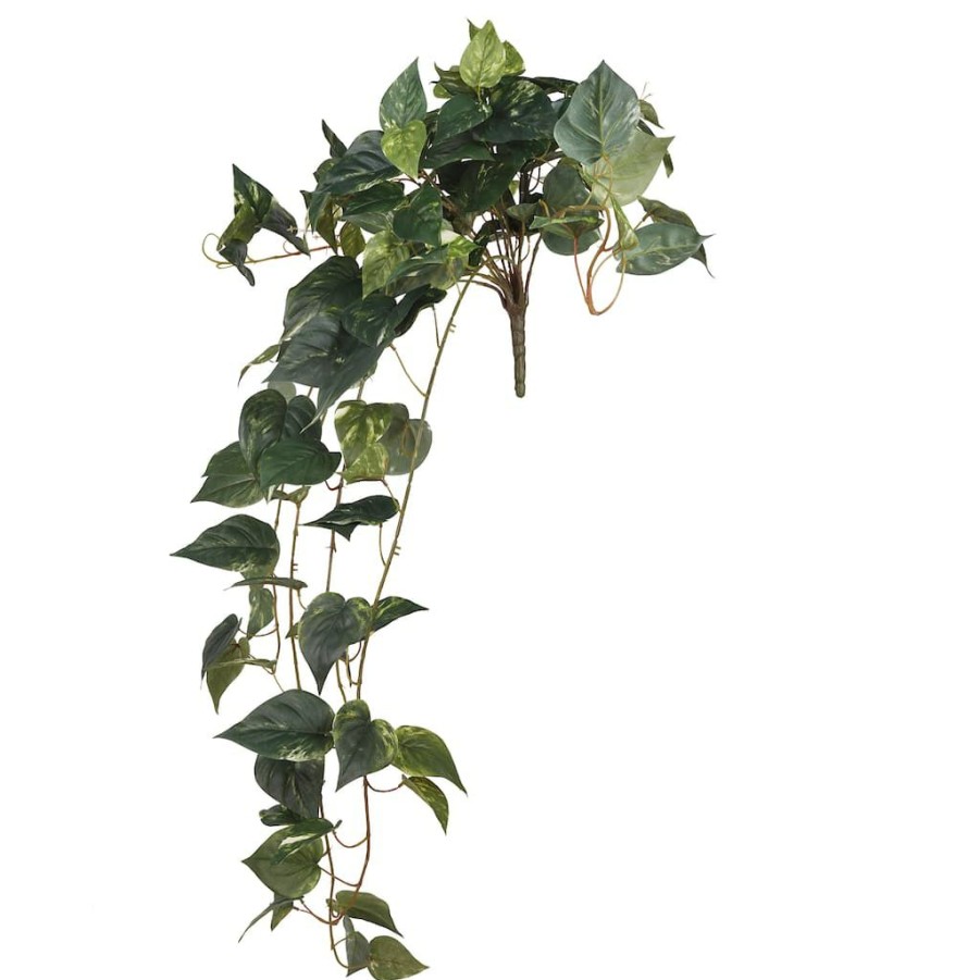 Floral * | Discount Hanging Pothos Bush By Ashland