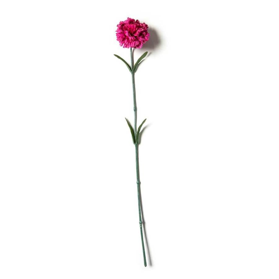 Floral * | Best Reviews Of Hot Pink Carnation Stem By Ashland