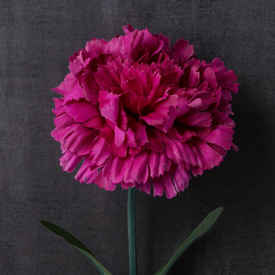 Floral * | Best Reviews Of Hot Pink Carnation Stem By Ashland