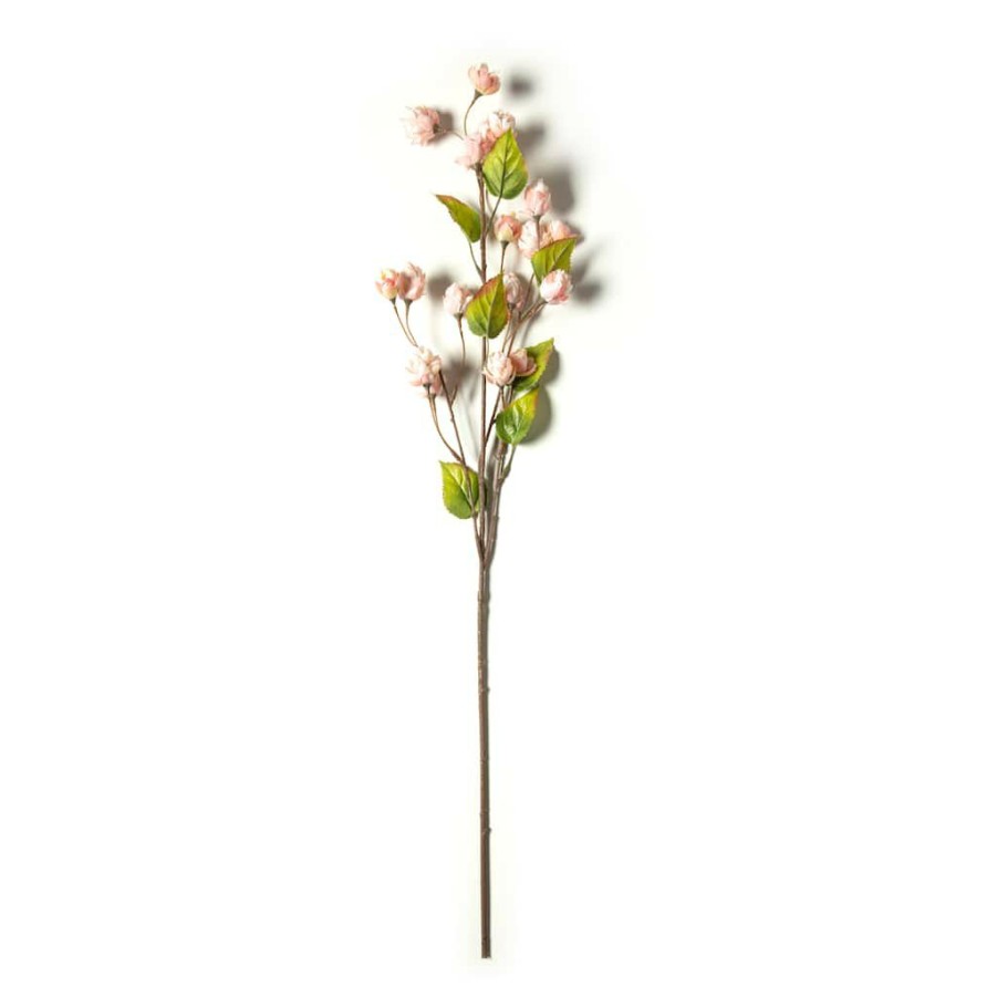 Floral * | New Blush Hops Stem By Ashland