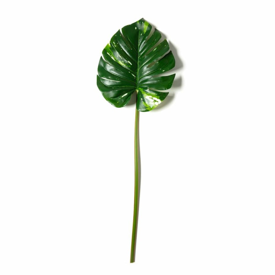 Floral * | Best Sale Monstera Leaf Stem By Ashland