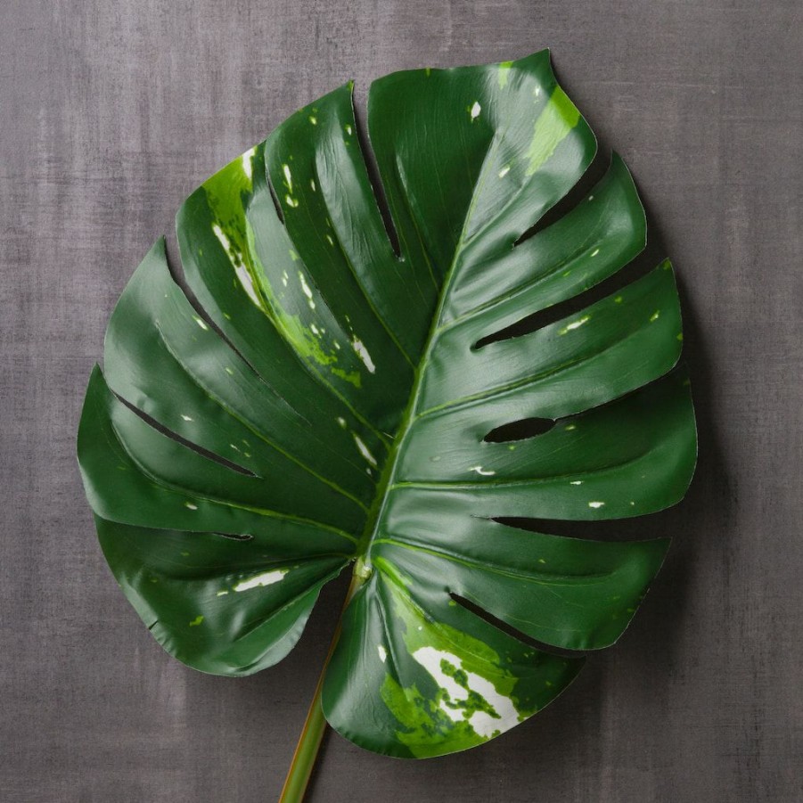 Floral * | Best Sale Monstera Leaf Stem By Ashland