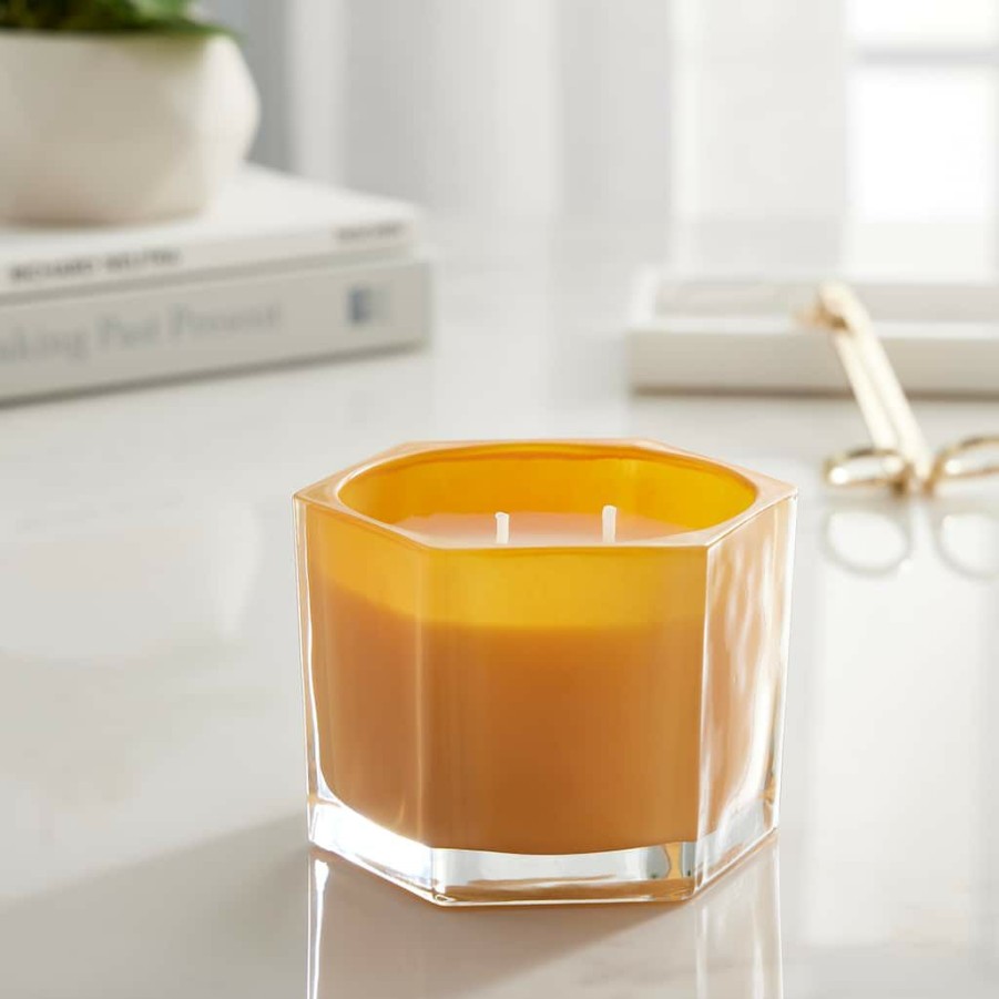 Home & Decor * | Best Deal Citrus & Amber 2-Wick Jar Candle By Ashland