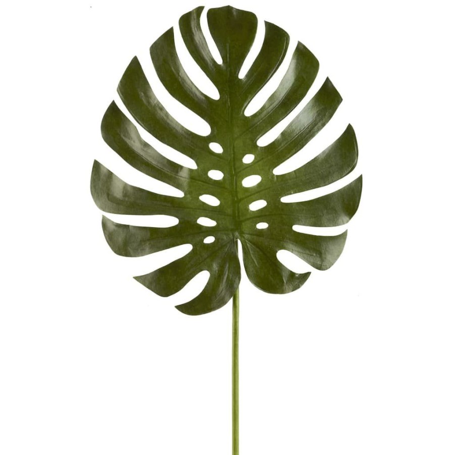 Floral * | Budget 6 Pack: Green Monstera Leaf Stem By Ashland