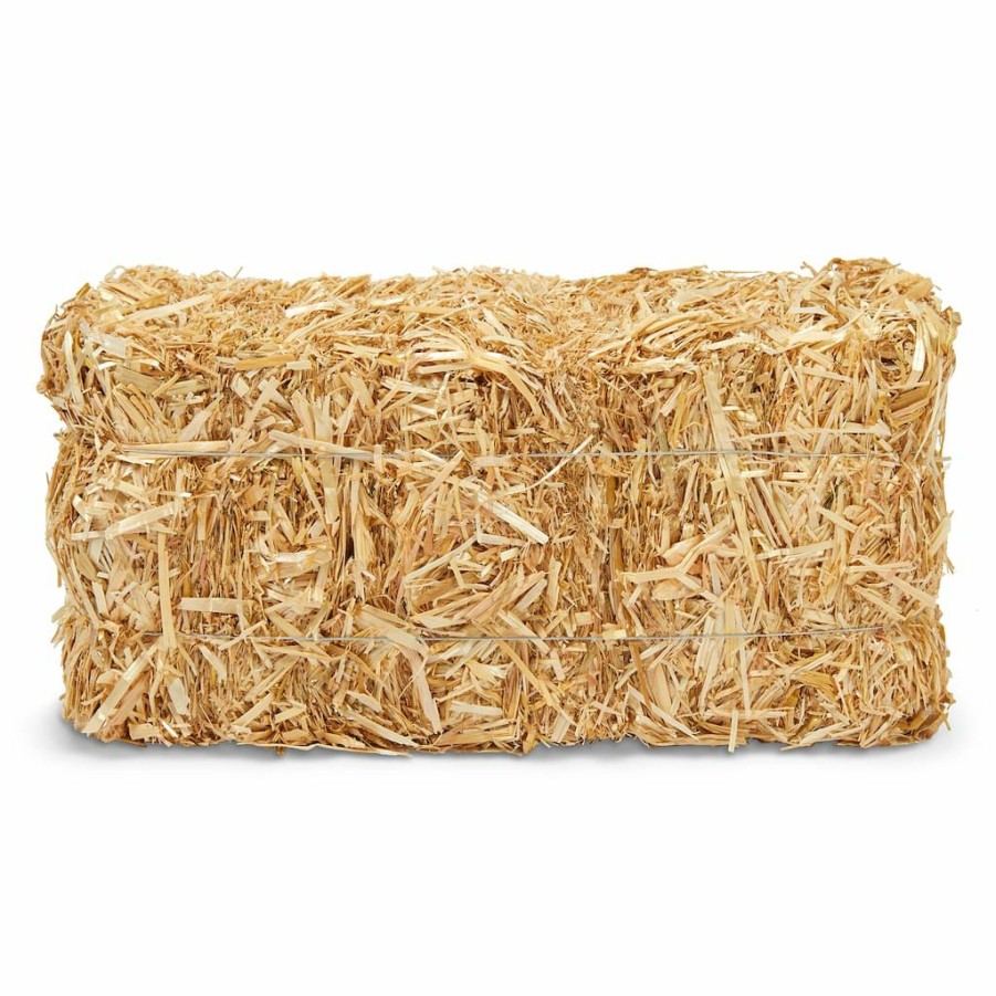 Floral * | Best Pirce Decorative Straw Bale By Ashland