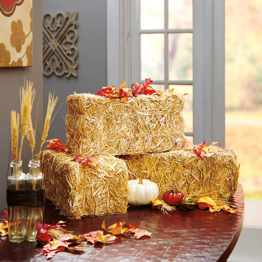 Floral * | Best Pirce Decorative Straw Bale By Ashland