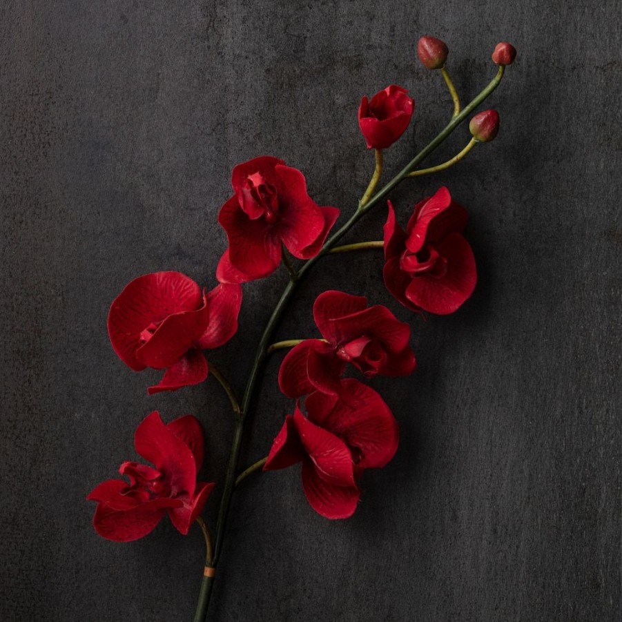 Floral * | Promo Red Tropical Orchid Stem By Ashland