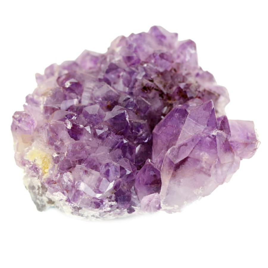 Floral * | Wholesale 12 Pack: Amethyst Cluster By Ashland