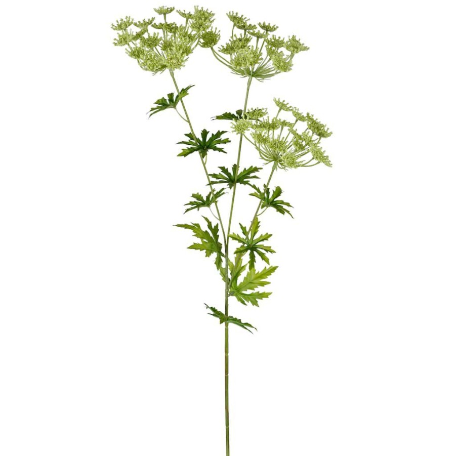 Floral * | New 12 Pack: Light Green Queen Anne'S Lace Spray By Ashland