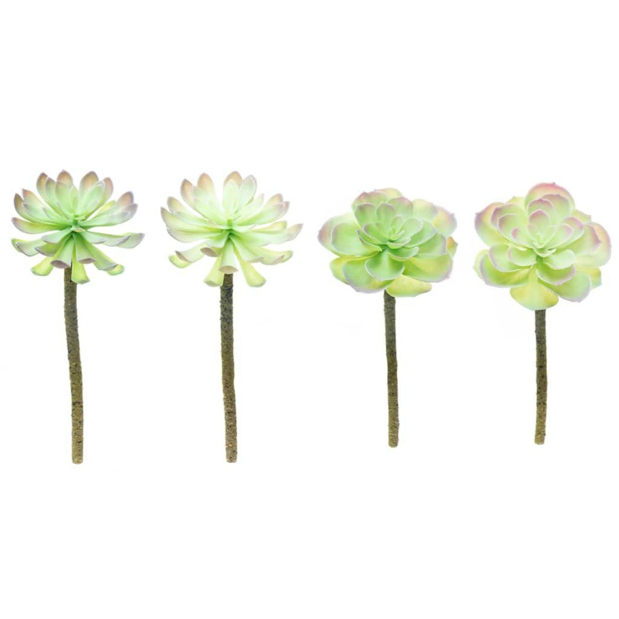 Floral * | Budget 12 Pack: Assorted Red Tipped Succulent Pick By Ashland