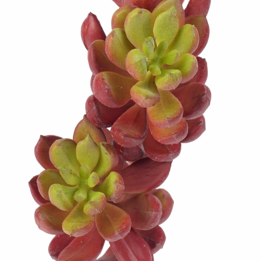 Floral * | Brand New Assorted Succulent Pick With 3 Heads By Ashland