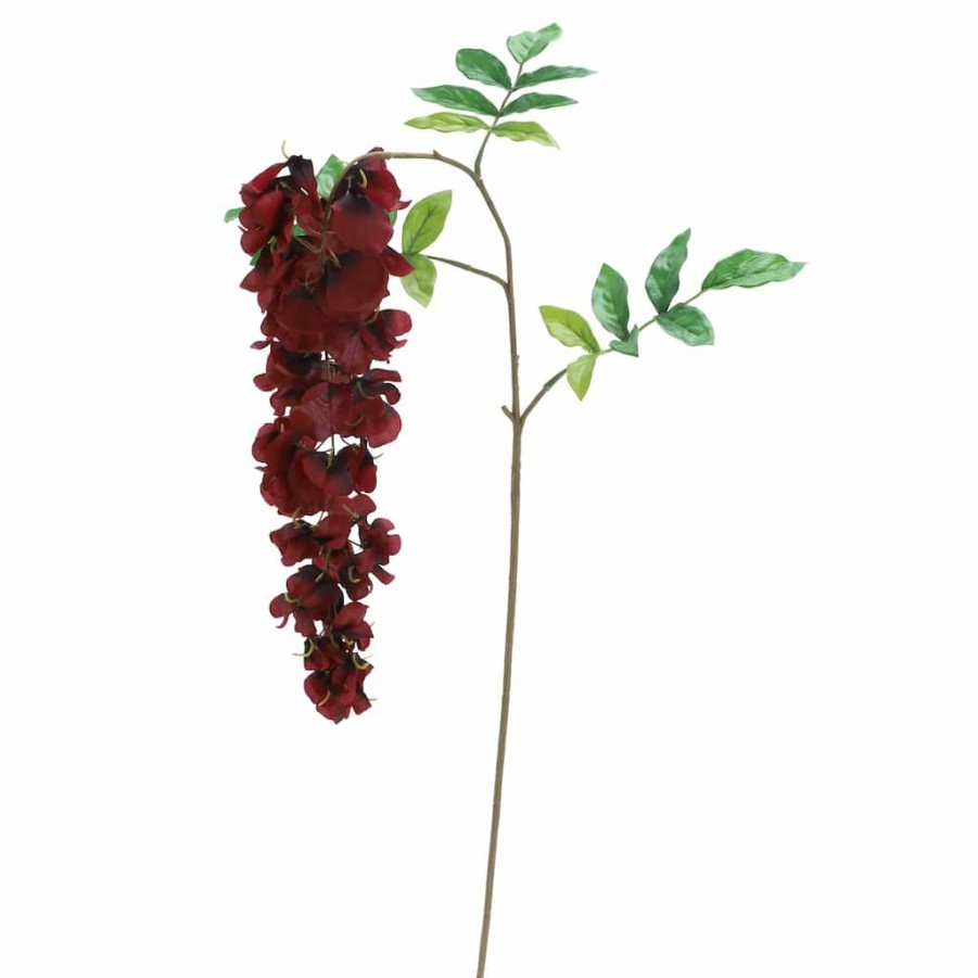 Floral * | Hot Sale 12 Pack: Burgundy Wisteria Stem By Ashland