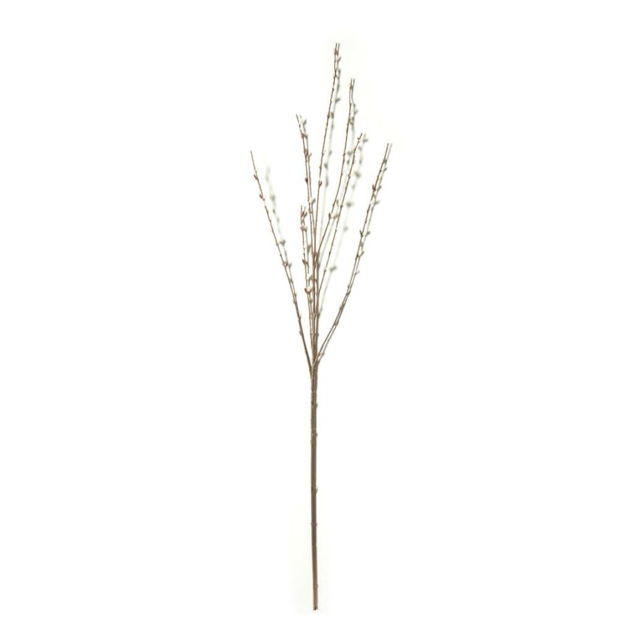 Floral * | Flash Sale Pussy Willow Stem By Ashland