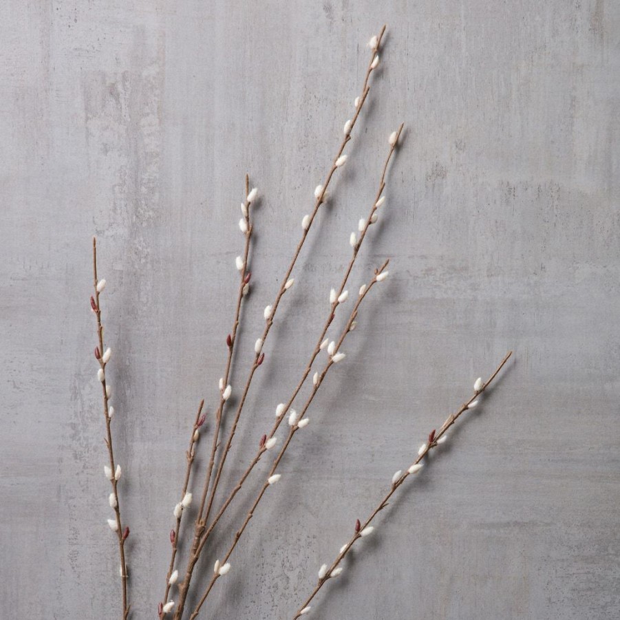 Floral * | Flash Sale Pussy Willow Stem By Ashland