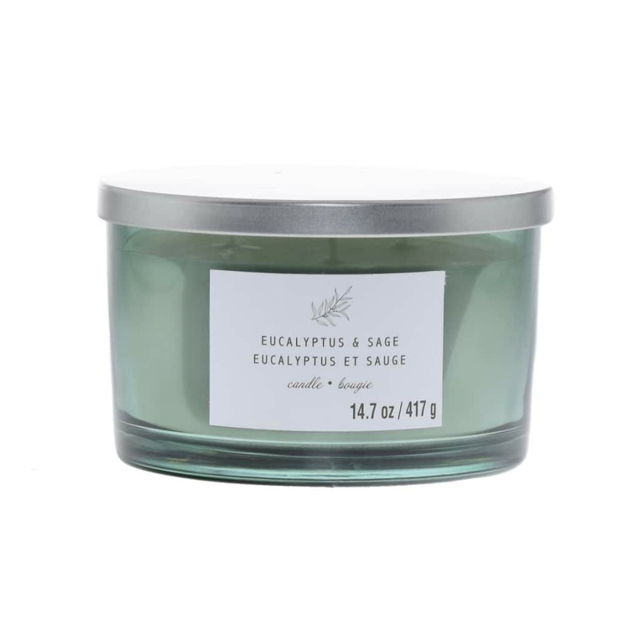 Home & Decor * | Discount Eucalyptus & Sage 3-Wick Jar Candle By Ashland