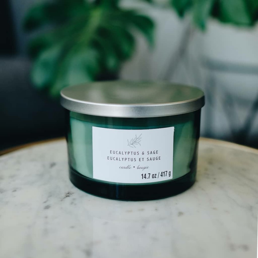 Home & Decor * | Discount Eucalyptus & Sage 3-Wick Jar Candle By Ashland