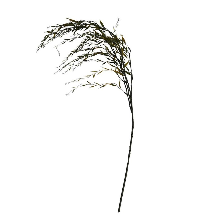 Floral * | Best Reviews Of Green Weeping Willow Stem By Ashland