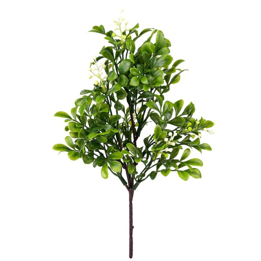 Floral * | Coupon 24 Pack: Green Boxwood Pick By Ashland