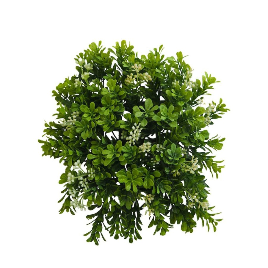 Floral * | Cheapest Green Boxwood Mat By Ashland