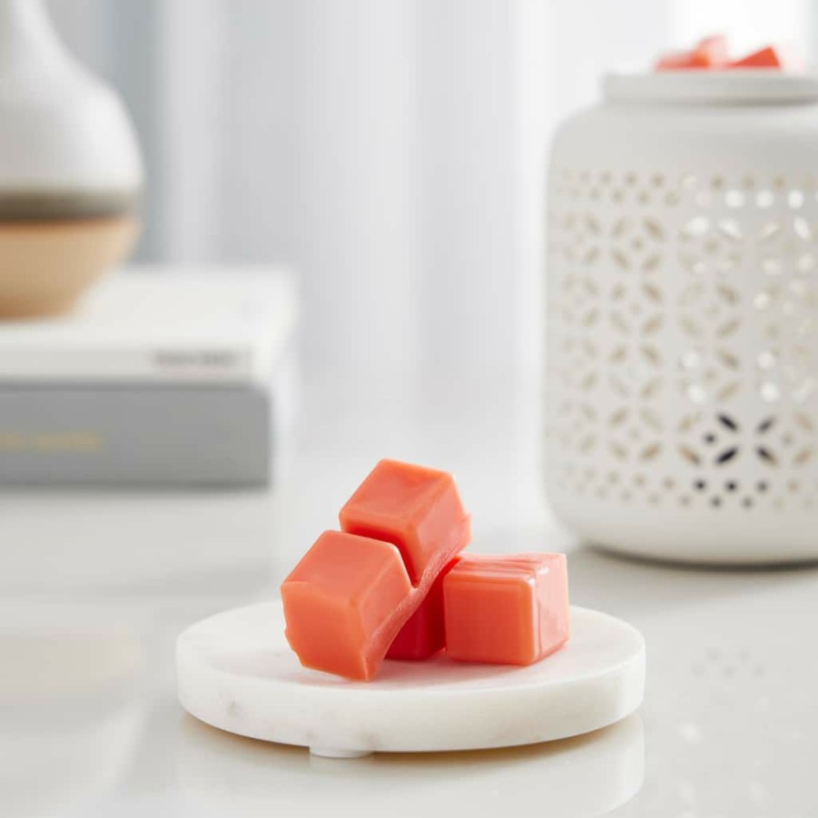 Home & Decor * | Coupon Peony & Rose Wax Melts By Ashland